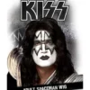 KISS Spaceman Wig