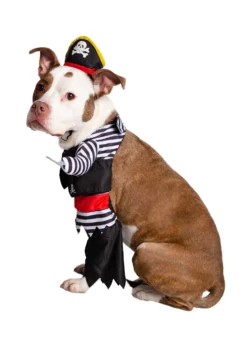 UK Halloween Sales 2024 -Smiffys Sales pirate pet costume alt 2