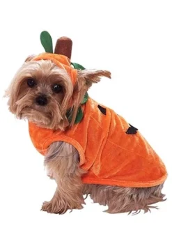 Pumpkin Costume For Dogs