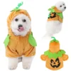 Pet Pumpkin Costume