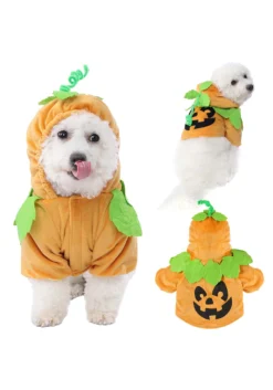 Pet Pumpkin Costume