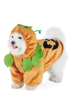 Pet Pumpkin Costume -Smiffys Sales pumpkin pet costume alt 3